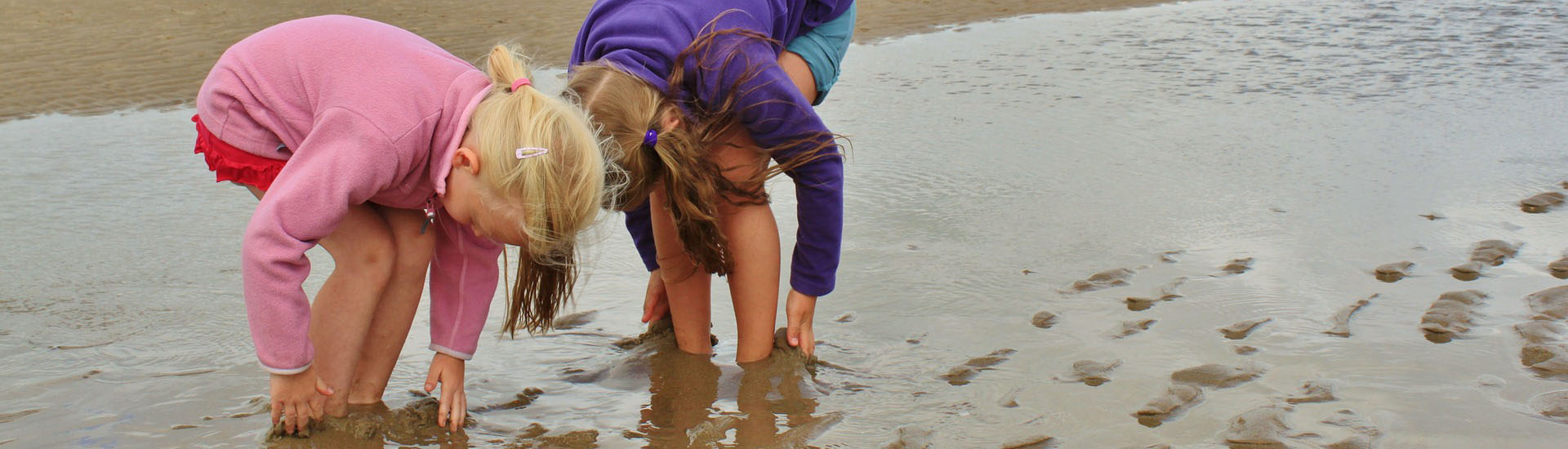 strand2